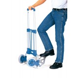 Paketroller Traglast | 125 kg