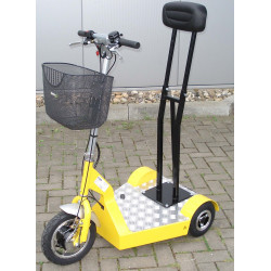 Rückenlehne für Elektroroller Colly