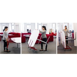 Multi Trolley Standard 2