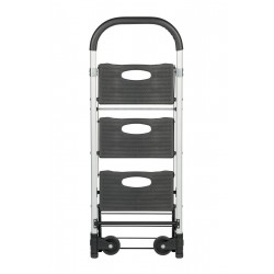 Mobile Allzweckleiter / Transportkarre