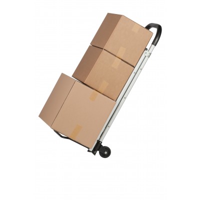 Mobile Allzweckleiter / Transportkarre